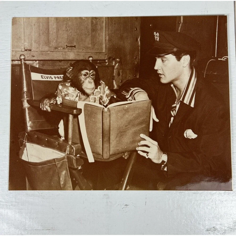 Vintage Elvis Presley Photo Lot (6) Glossy Prints w/Elvis & Scatter Monkey Photo